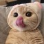 无心动情