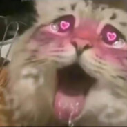 去tm的工作还我快乐生活