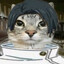 Avatar of player Fushi