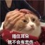 桓桓