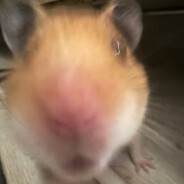 Подводный братик - steam id 76561198232639044