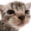 :3