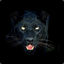 Panther-