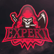 Expert