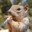 Agent Squirrel