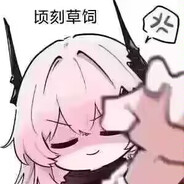 这是小特，她很可爱