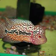 3550