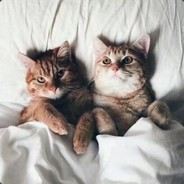 来自阿鑫的愤怒