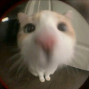 Kwokus avatar