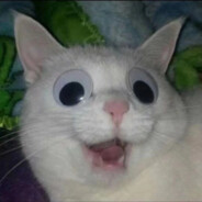 落入凡尘的核弹