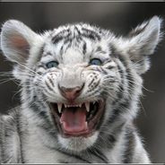 ๖ۣۣۜKy$øч£ķ ๖ۣۣۜC