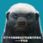 追我打呀