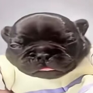 big bouncy booty odicheeks