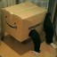 Amazon Box