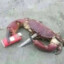 Krab_King
