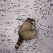 KOHCEPBAHT