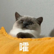 爱吃你的裹脚布