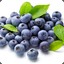 Blueberries