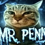 Mr.Penis