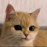 Ты Нервный 1эу