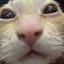 jaso_2