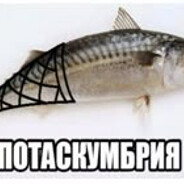 ПОТАСКУМБРИЯ