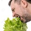 Sonic_Lettuce