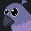 papigeon