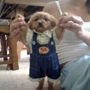 PERRITO MONISIMO DE LA MUERTE