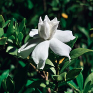 西安睡衣登山冠军