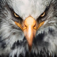 Eagle*