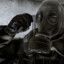 Darknesss_