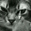 jukis_