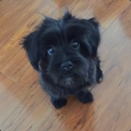 救我！我还能送