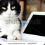 Technological Cat with a Laptop