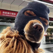 一天不打积阳德，两天不打积积阳阳德