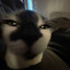 名誉あるSkySol's avatar