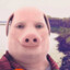 John Pork