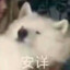 甜心超人