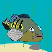 fish