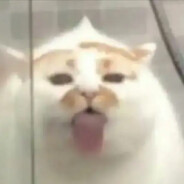 我买的黄金升值了  快来吸我的升值气