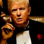 Дон Трамплеоне