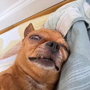 骨盆前倾被当作翘臀