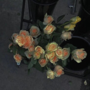 行尽江南，不与离人遇