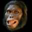 Australopithecus