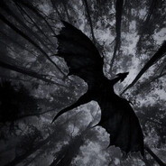 Hush Hush - steam id 76561199569985338