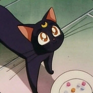 Ran Beta1.0 - steam id 76561198399807927