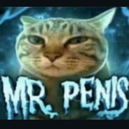 Mr. Penis