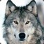 csgo-raffle.com
