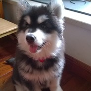 我叫程天霸叫我小名霸霸